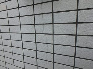 pa050007