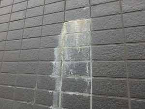 pa050015